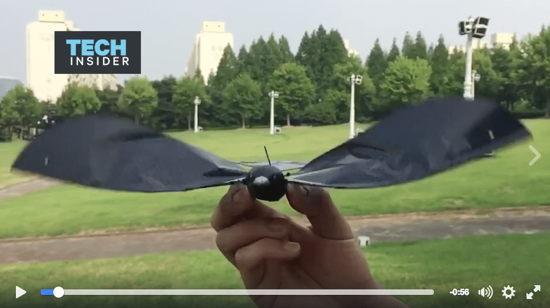 Drohne Vogel